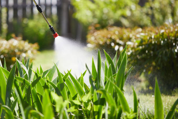 24/7 Emergency Wasp Removal experts in Gold Beach, OR